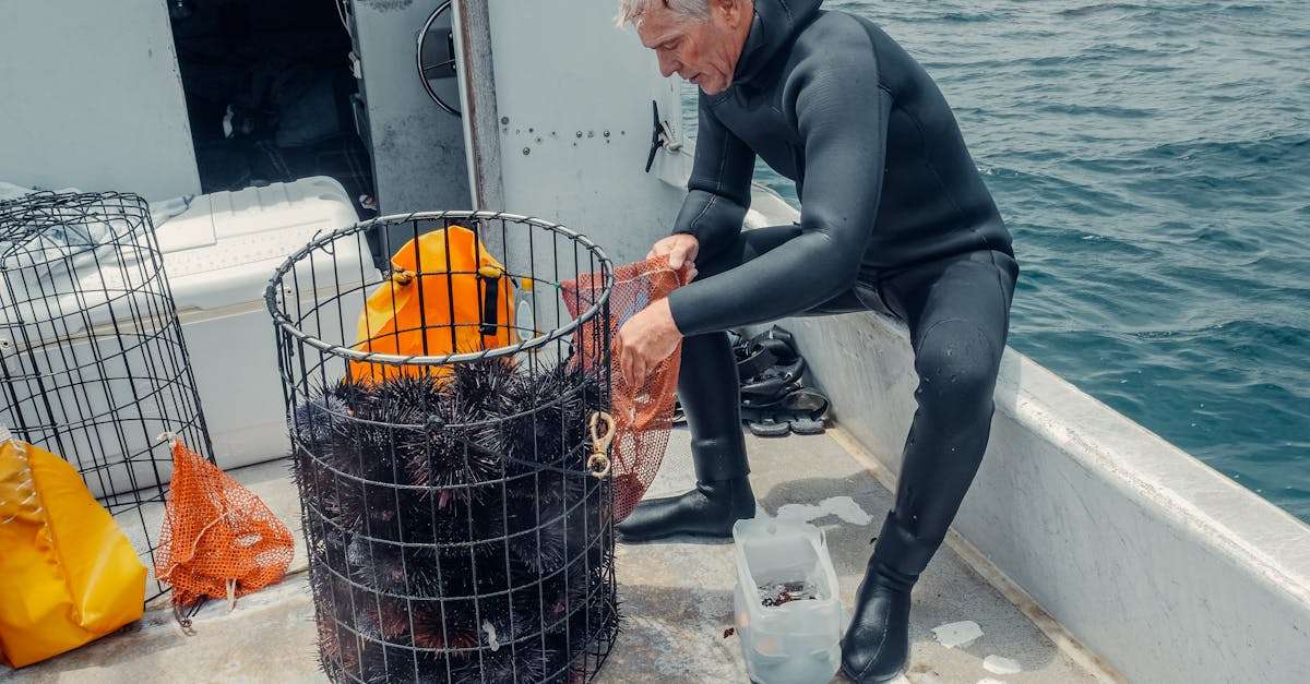 découvrez les pratiques de la pêche durable, un moyen essentiel de préserver les ressources maritimes tout en garantissant un équilibre écologique. apprenez comment pêcher de manière responsable et contribuer à la protection de nos océans.
