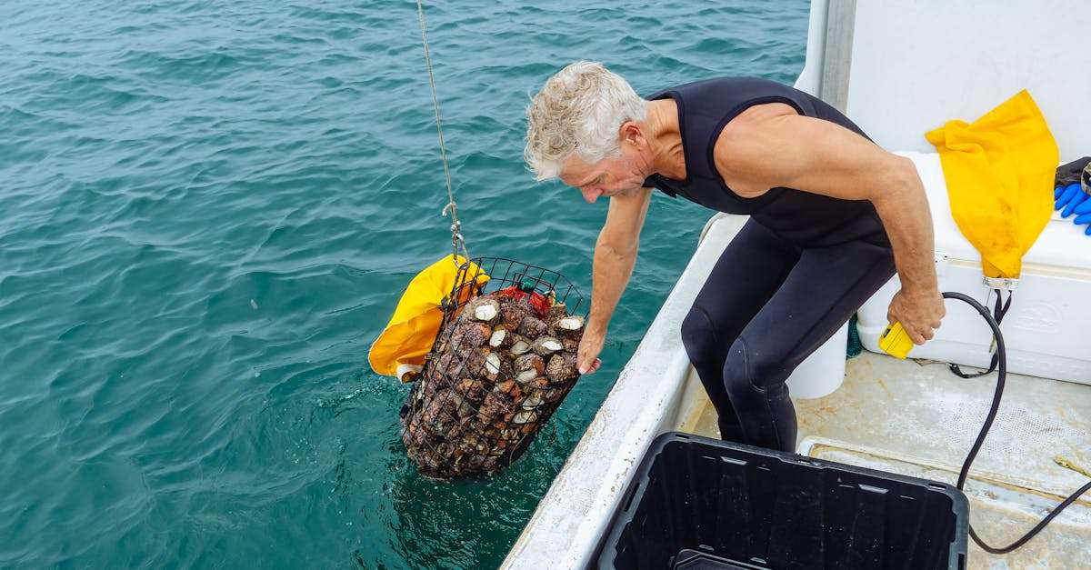 découvrez l'importance de la pêche durable pour la préservation des écosystèmes marins et la pérennité des ressources halieutiques. apprenez des méthodes qui respectent l'environnement tout en garantissant un revenu pour les communautés de pêcheurs.