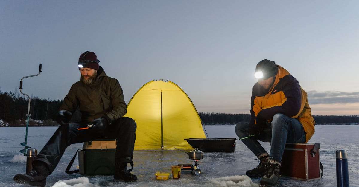 découvrez les meilleures techniques de pêche en hiver, les équipements indispensables et les astuces pour réussir vos sorties sur la glace. plongez dans l'univers de la pêche hivernale et profitez de moments inoubliables au cœur de la nature.