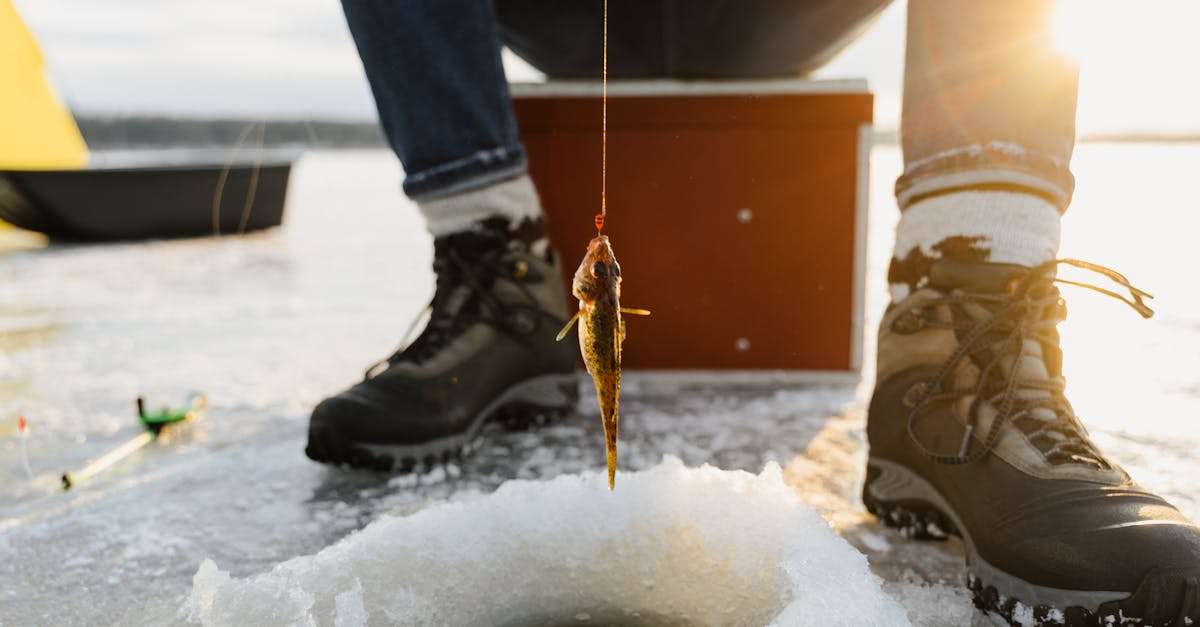 découvrez les meilleures techniques et astuces pour la pêche en hiver. plongez dans l'univers de la pêche sur glace, apprenez à choisir le bon matériel et dénichez les lieux les plus propices pour capturer vos poissons préférés, même par temps froid.