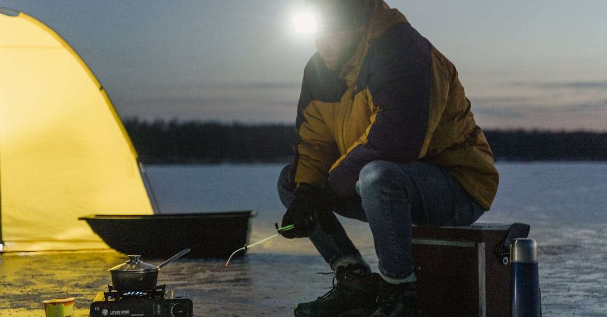 découvrez l'excitation de la pêche hivernale ! apprenez des astuces pour attraper vos poissons préférés sous la glace, explorez les meilleurs spots de pêche en hiver et préparez-vous pour une aventure inoubliable au cœur de la nature.