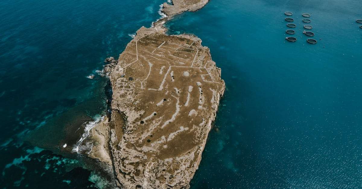 découvrez l'aquaculture, une méthode innovante et durable pour élever des poissons et des crustacés. explorez ses avantages économiques, son impact sur l'environnement et les meilleures pratiques pour une production aquatique responsable.