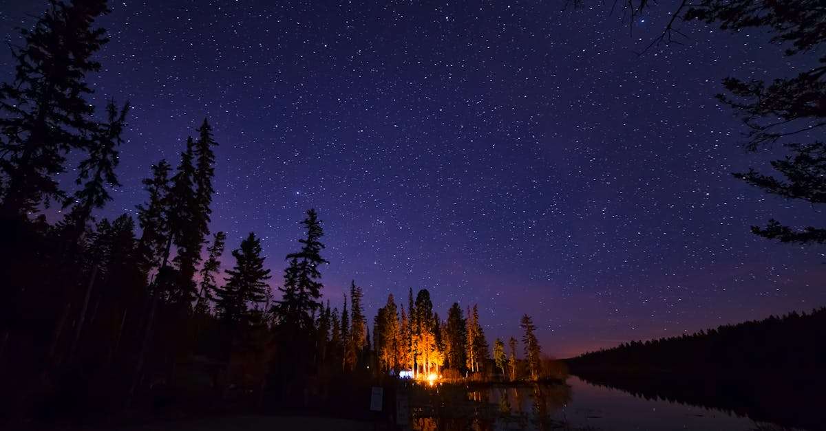 découvrez l'univers du camping : vivez des aventures en pleine nature, explorez des lieux enchanteurs et créez des souvenirs inoubliables en famille ou entre amis. profitez de conseils pratiques, de destinations idéales et d'astuces pour un séjour réussi en plein air.