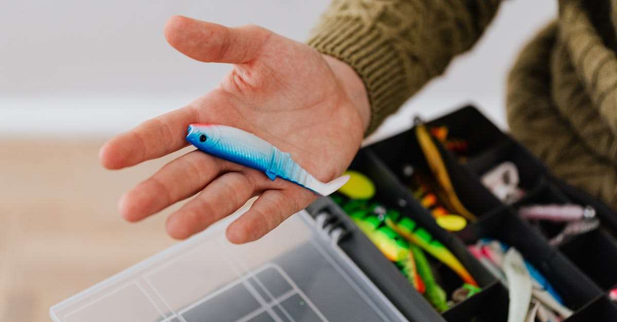 découvrez le concept de 'catch and release', une pratique de pêche respectueuse de l'environnement qui permet de relâcher les poissons après les avoir capturés. apprenez les techniques et l'éthique derrière cette approche durable, tout en préservant les écosystèmes aquatiques.