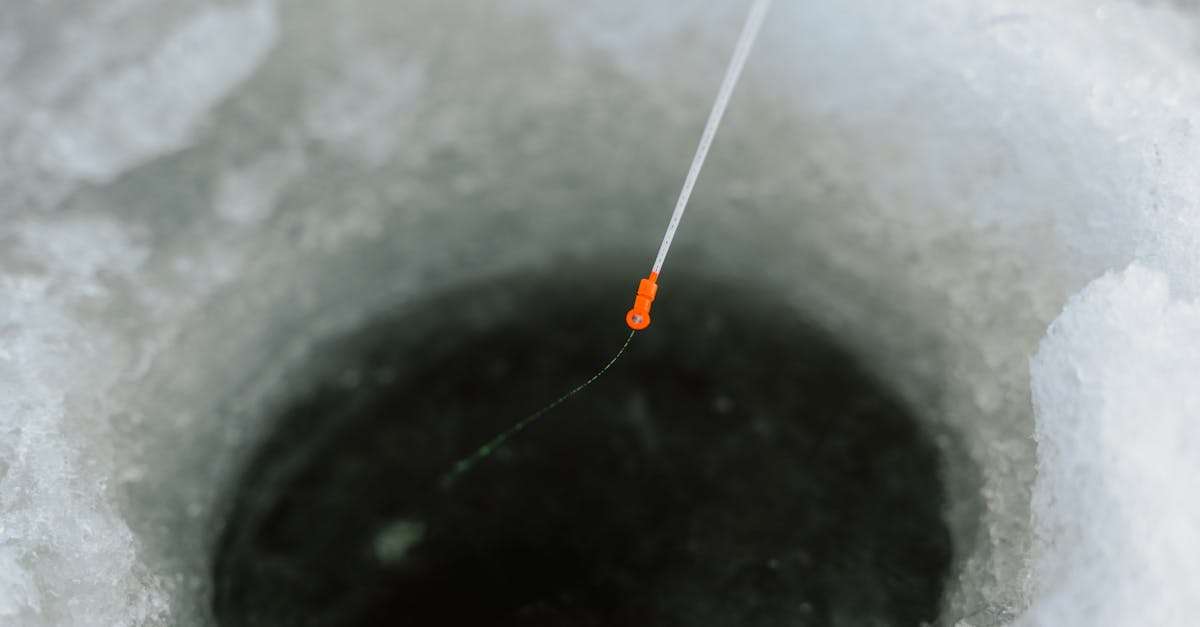 découvrez l'art du 'catch and release', une pratique respectueuse de la pêche qui allie passion et protection de l'environnement. apprenez les techniques pour attraper des poissons tout en préservant leur habitat naturel, afin de garantir leur survie après la prise.