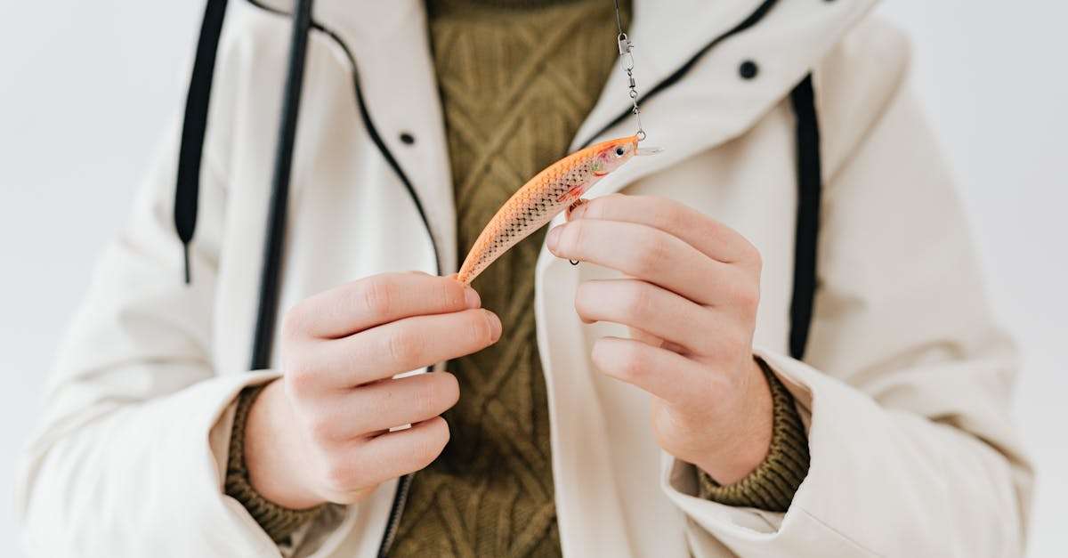 découvrez la pratique du 'catch and release', une méthode de pêche respectueuse de l'environnement qui permet de relâcher les poissons après capture. apprenez les meilleures techniques pour préserver les écosystèmes aquatiques tout en profitant d'une expérience de pêche enrichissante.
