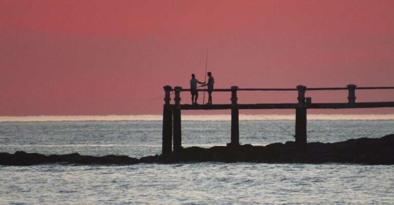 découvrez l'univers de la pêche connectée avec nos conseils, astuces et équipements innovants pour optimiser votre expérience de pêche. restez en contact avec la nature tout en profitant des dernières technologies.