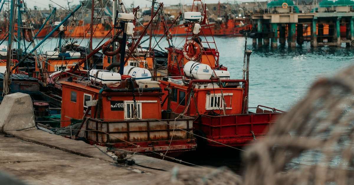 découvrez l'excitation de la pêche en haute mer ! plongez dans l'aventure du deep sea fishing et explorez les profondeurs océaniques à la recherche de poissons géants. que vous soyez débutant ou pêcheur expérimenté, vivez des moments inoubliables au large des côtes.