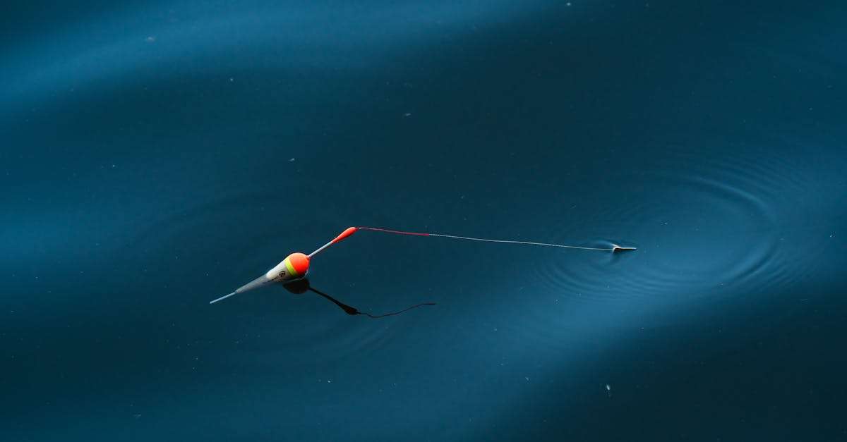 découvrez les pratiques de la pêche éthique, qui préservent l'environnement marin et garantissent la durabilité des ressources halieutiques. engagez-vous pour une consommation responsable et respectueuse des écosystèmes aquatiques.