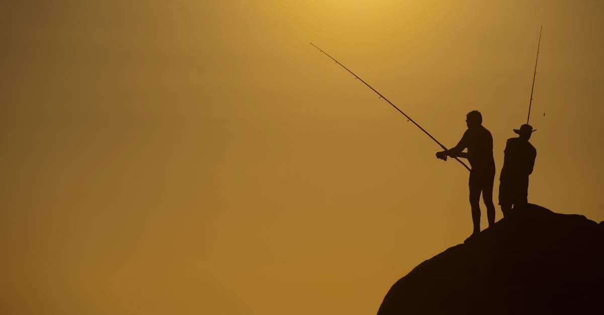 découvrez l'univers passionnant de la pêche avec nos conseils, techniques, et astuces pour réussir vos sorties. que vous soyez novice ou expert, explorez les meilleures destinations de pêche et apprenez à maîtriser votre matériel pour une expérience inoubliable au bord de l'eau.