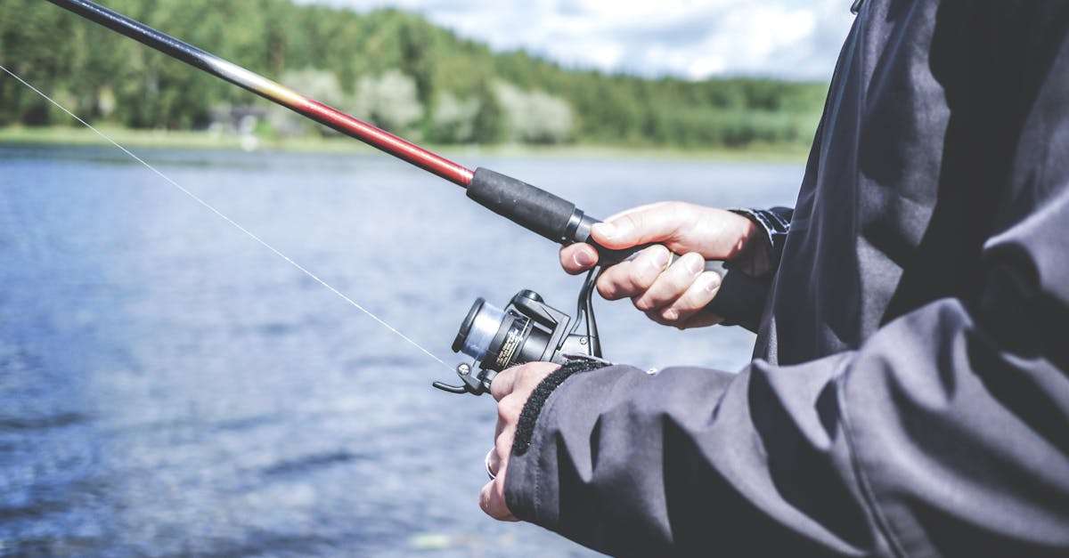 découvrez l'univers fascinant de la pêche : techniques, astuces, équipements et meilleurs spots pour une expérience inoubliable au bord de l'eau. que vous soyez débutant ou pêcheur aguerri, trouvez toutes les informations nécessaires pour améliorer votre passion.
