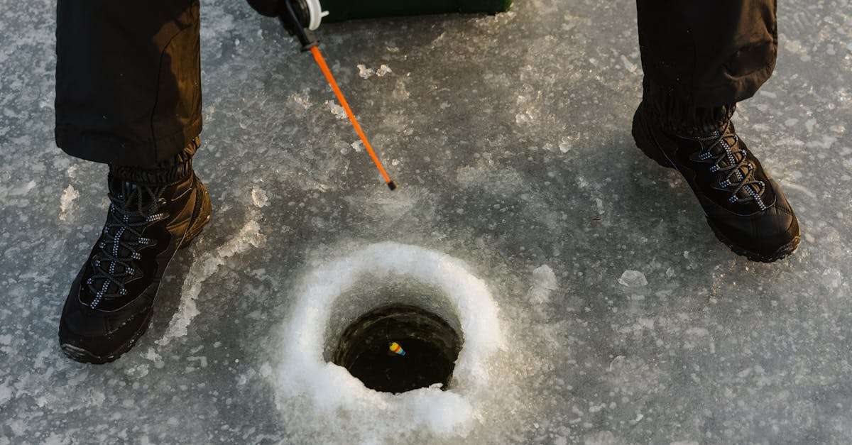 découvrez l'univers passionnant de la pêche avec nos conseils, techniques et astuces pour réussir vos sorties. que vous soyez novice ou expert, trouvez tout ce qu'il vous faut pour vivre des moments inoubliables au bord de l'eau.
