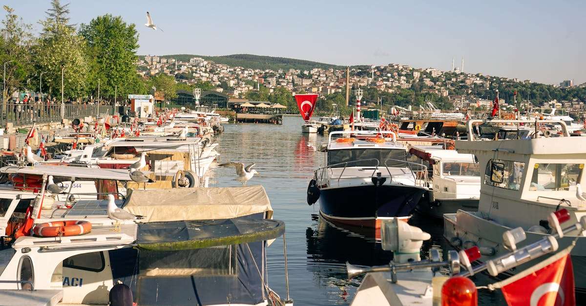 découvrez les meilleures destinations de pêche à travers le monde ! que vous soyez amateur ou expert, plongez dans des lieux idylliques où la nature et l'aventure vous attendent. préparez votre canne et explorez des spots de pêche uniques pour des vacances inoubliables.