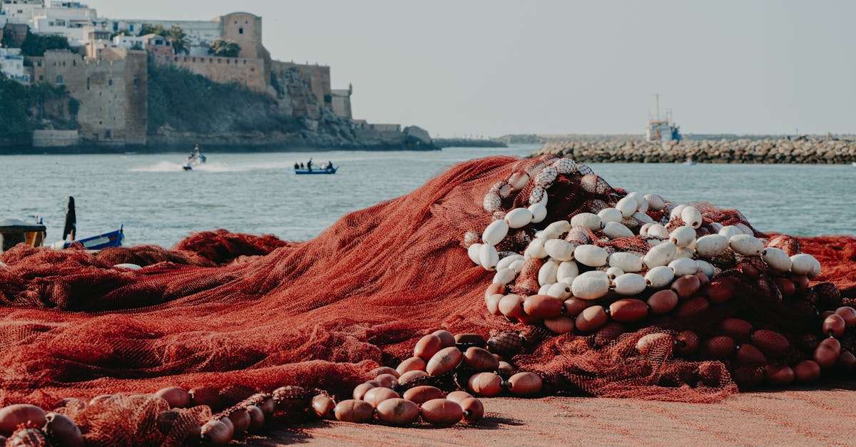 découvrez les meilleures destinations de pêche à travers le monde ! que vous soyez novice ou expert, trouvez l'endroit idéal pour vivre des aventures inoubliables au bord de l'eau. explorez des paysages à couper le souffle tout en pêchant les plus belles espèces. préparez votre prochaine expédition de pêche dès maintenant !