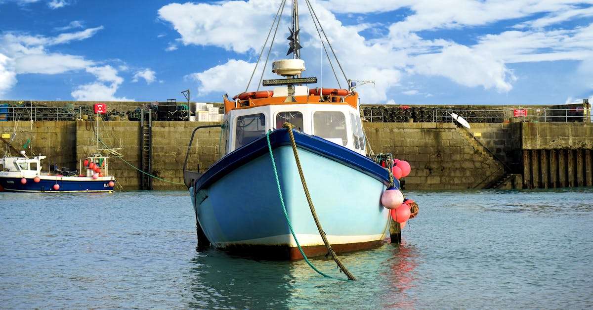 découvrez notre large sélection de matériel de pêche de haute qualité, adapté à tous les niveaux. que vous soyez un pêcheur débutant ou un expert, trouvez l'équipement idéal pour vivre vos meilleures journées au bord de l'eau.