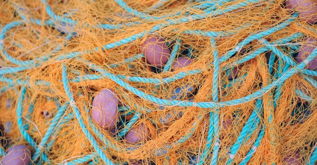découvrez notre large sélection de matériel de pêche, conçu pour tous les passionnés de la pêche, des débutants aux experts. trouvez tout ce dont vous avez besoin, des cannes aux leurres, en passant par les accessoires indispensables pour une expérience de pêche réussie.