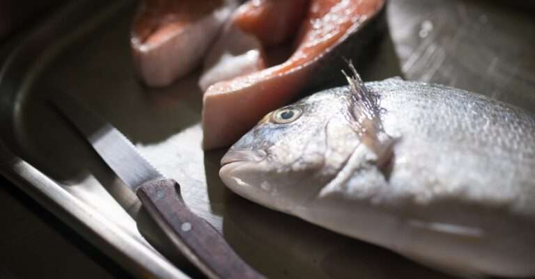 découvrez des recettes de pêche savoureuses et variées, parfaites pour sublimer vos prises du jour. que vous soyez débutant ou expert, explorez nos astuces et conseils pour préparer des plats de poisson délicieux et faciles à réaliser.