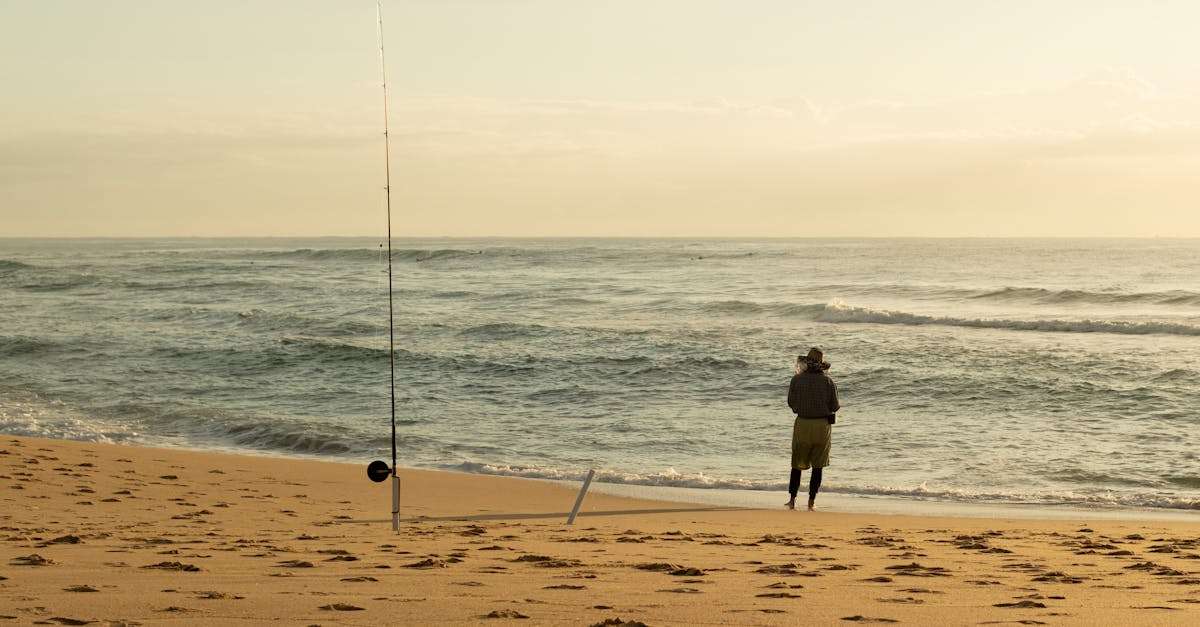 découvrez les réglementations de la pêche pour pratiquer votre activité en toute légalité. informez-vous sur les saisons, les limites de capture et les zones de pêche afin de préserver les ressources aquatiques tout en profitant pleinement de votre passion.