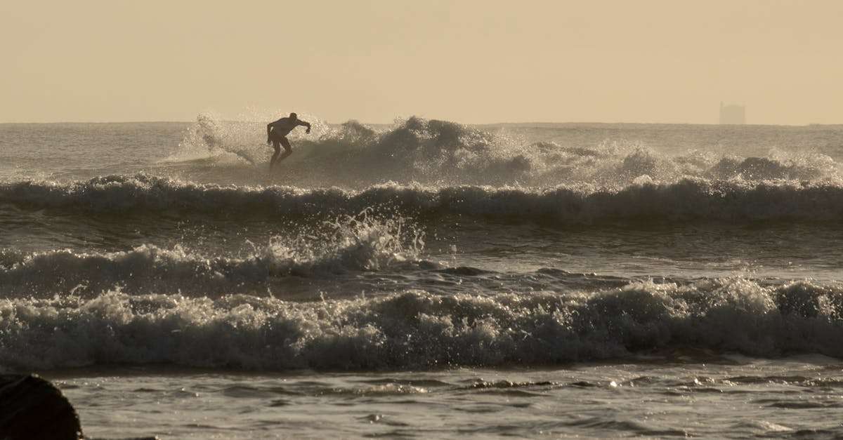 découvrez les réglementations de la pêche en france : règles, saisons, zones autorisées et informations essentielles pour les pêcheurs. assurez-vous de respecter la législation pour profiter pleinement de votre passion.