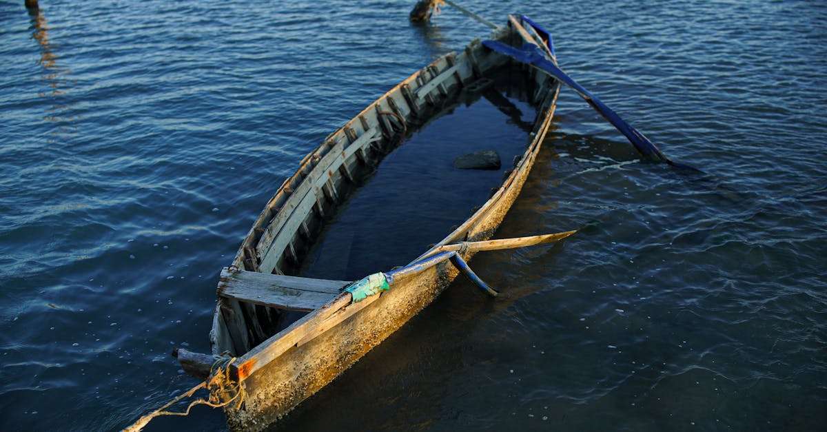 découvrez les règlements de pêche en france. informez-vous sur les saisons, les espèces protégées et les quotas pour pratiquer la pêche de manière responsable et durable.