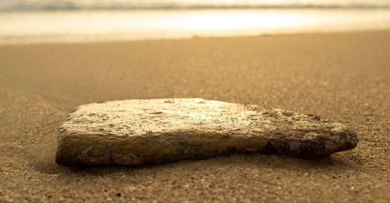 découvrez les réglementations de pêche en france pour une expérience de pêche responsable et respectueuse de l'environnement. informez-vous sur les lois, les zones de pêche, et les saisons afin de profiter pleinement de votre activité tout en préservant nos ressources naturelles.