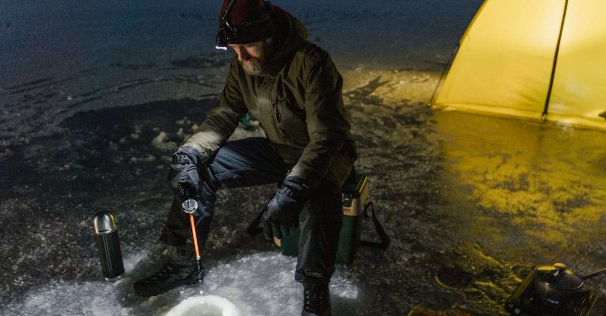 découvrez tout sur la saison de pêche : les meilleures techniques, les saisons idéales pour attraper vos poissons préférés et des conseils pour profiter pleinement de cette activité. que vous soyez novice ou expert, préparez-vous pour une saison de pêche inoubliable!