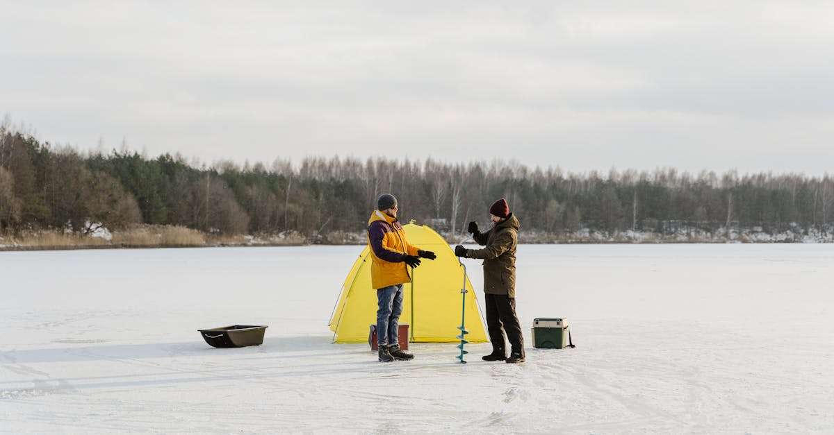découvrez les meilleures techniques et astuces pour réussir votre saison de pêche. préparez-vous à vivre des moments inoubliables au bord de l'eau avec nos conseils sur les équipements, les appâts et les lieux de pêche idéaux.