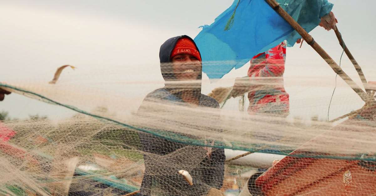 découvrez la saison de pêche : périodes idéales, techniques efficaces et meilleurs spots pour attraper vos poissons préférés. préparez-vous pour une aventure inoubliable au bord de l'eau !