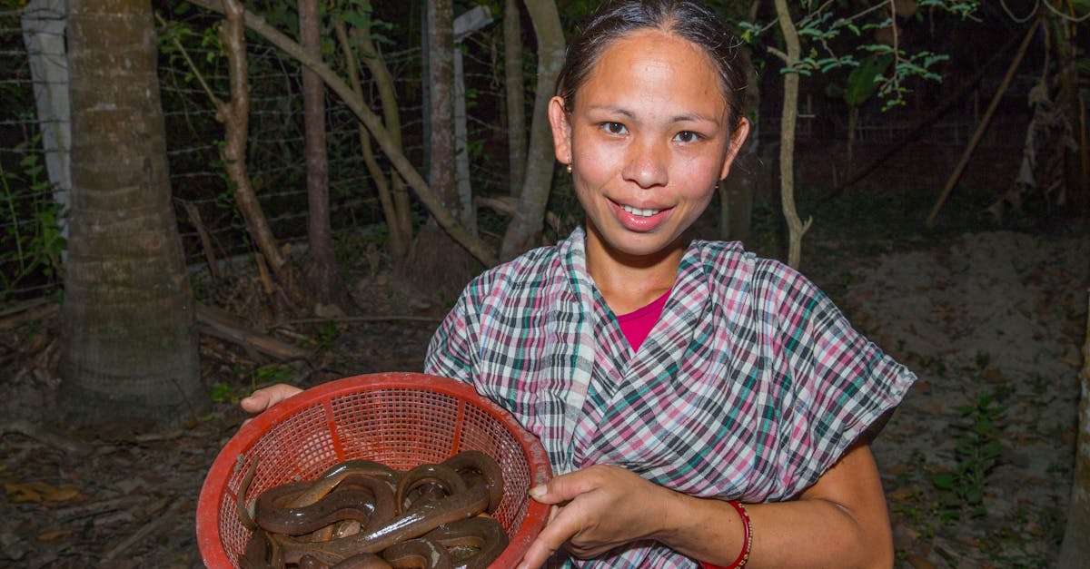 découvrez des stratégies de pêche efficaces pour maximiser vos prises. que vous soyez débutant ou pêcheur expérimenté, nos conseils vous aideront à améliorer vos techniques et à profiter pleinement de vos sorties en plein air.