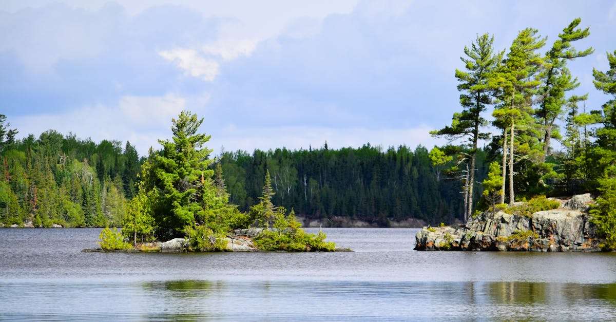 découvrez nos stratégies de pêche efficaces pour tous les niveaux. apprenez les techniques, astuces et conseils pour maximiser votre succès au bord de l'eau.