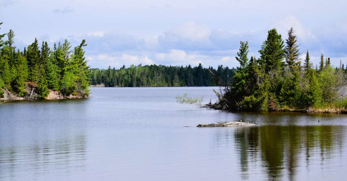 découvrez des stratégies de pêche efficaces pour améliorer vos performances, d'une analyse des meilleurs spots à la sélection des appâts. que vous soyez débutant ou passionné, nos conseils vous aideront à optimiser vos sessions de pêche.