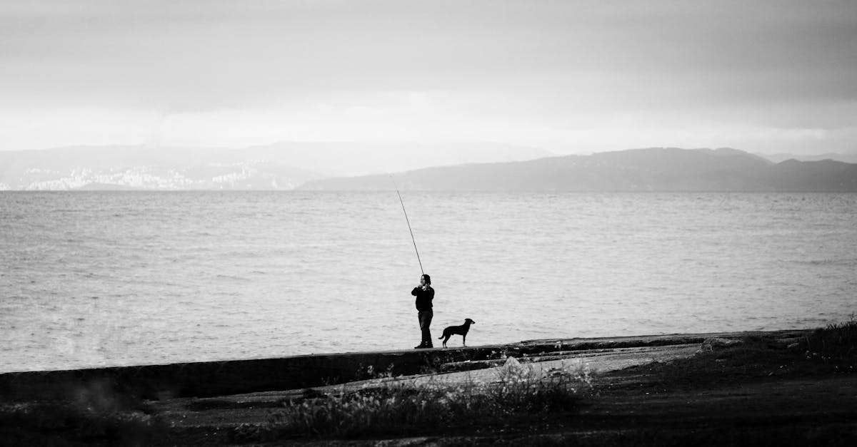 découvrez les différents styles de pêche, allant de la pêche à la mouche à la pêche en mer, et apprenez à choisir la technique qui correspond le mieux à vos envies et à votre environnement. plongez dans l'univers fascinant de la pêche et améliorez vos compétences !