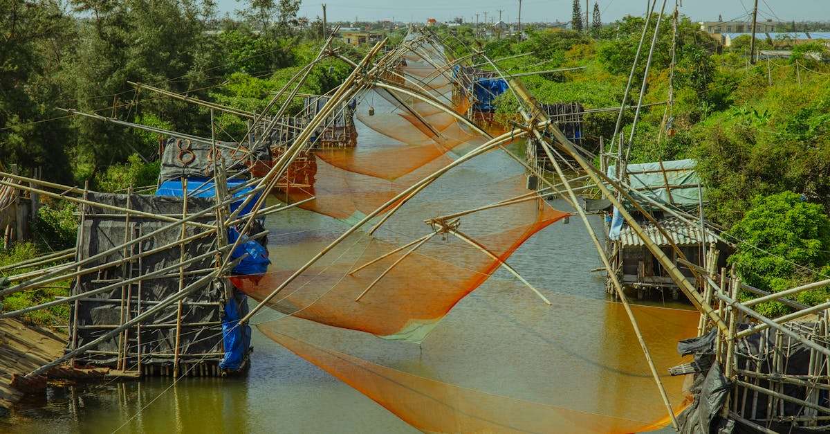 découvrez les techniques de pêche essentielles pour optimiser vos sorties en eau douce ou en mer. apprenez à maîtriser les différents types d'appâts, les équipements indispensables et les stratégies pour attirer les poissons. que vous soyez débutant ou pêcheur expérimenté, nos conseils vous aideront à améliorer vos compétences et à vivre des aventures inoubliables sur l'eau.