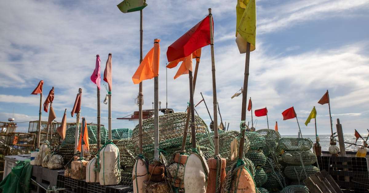découvrez les différentes techniques de pêche pour améliorer vos compétences et multiplier vos prises. que vous soyez débutant ou pêcheur expérimenté, explorez des méthodes variées, des astuces et des conseils pour une expérience de pêche réussie.