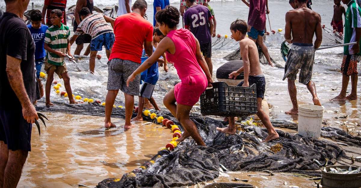 découvrez les meilleures techniques de pêche pour maximiser vos prises ! apprenez les astuces des experts et explorez différents styles de pêche adaptés à tous les niveaux, des débutants aux pêcheurs expérimentés.