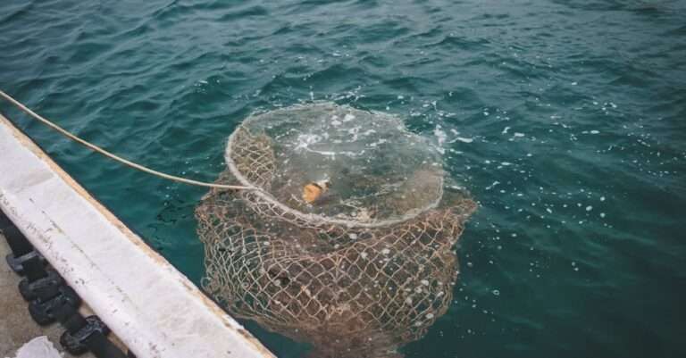 découvrez les meilleures techniques de pêche pour optimiser vos prises. apprenez les méthodes traditionnelles et modernes, sélectionnez le bon équipement et améliorez vos compétences pour une expérience de pêche inoubliable.