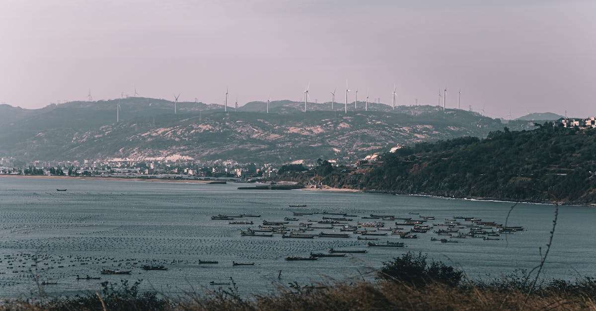 découvrez les dernières innovations en matière de technologie de la pêche. explorez comment les outils modernes transforment les techniques traditionnelles, améliorent les rendements et préservent les ressources aquatiques. plongez dans l'univers fascinant de la pêche connectée et durable.