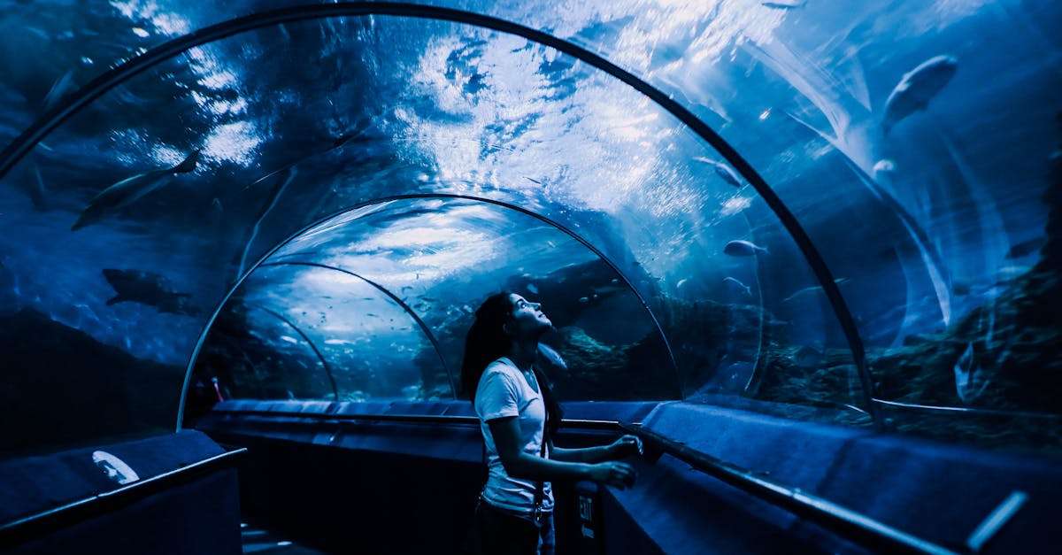 découvrez l'univers passionnant de la technologie de la pêche, où innovation et écologie se rencontrent pour transformer votre expérience de pêche. explorez les outils, équipements et techniques modernes qui améliorent l'efficacité, tout en préservant nos ressources naturelles.