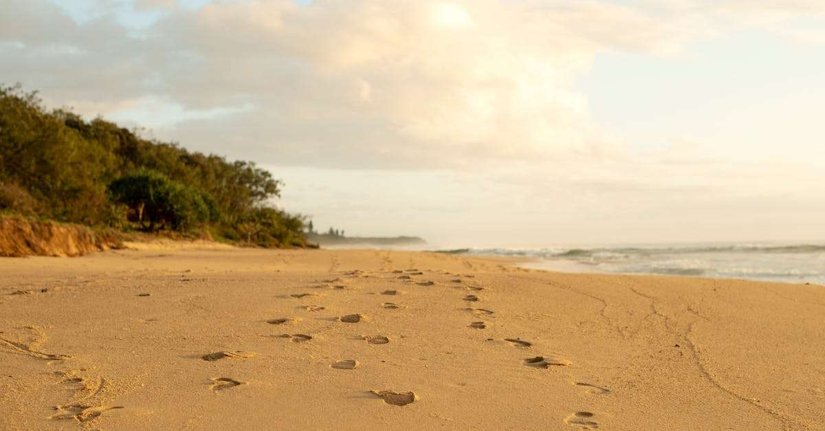 découvrez les dernières tendances en matière de pêche, des techniques innovantes aux équipements indispensables. restez informé sur les meilleures pratiques et conseils pour profiter pleinement de votre passion pour la pêche.