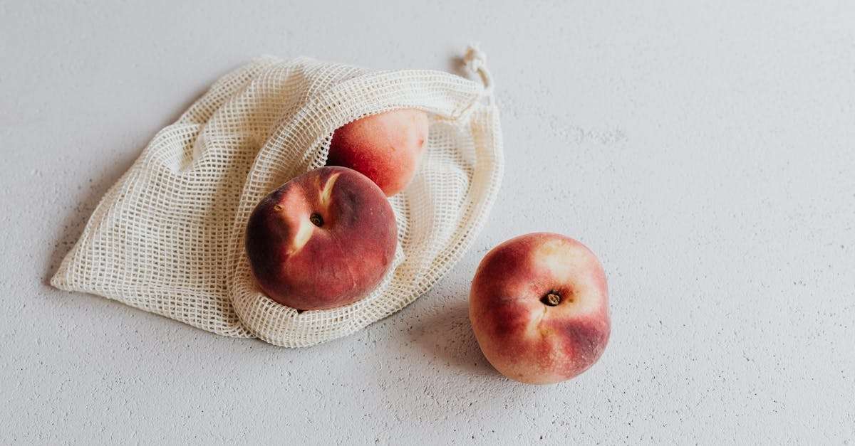 découvrez tout sur la pêche : ses bienfaits pour la santé, des recettes délicieuses, et des conseils pour choisir et déguster ce fruit juteux et sucré. plongez dans l'univers de la pêche et savourez son goût unique!