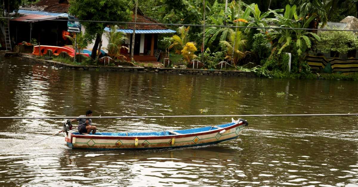 découvrez les meilleures techniques de pêche en rivière pour attraper truites, brochets et autres poissons. apprenez les astuces des experts et profitez d'une expérience de pêche inoubliable au cœur de la nature.