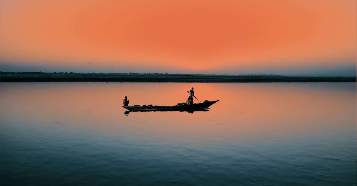 découvrez l'univers de la pêche en rivière : techniques, conseils et lieux incontournables pour les passionnés de nature et de tranquillité. profitez des meilleures astuces pour réussir vos sorties de pêche.