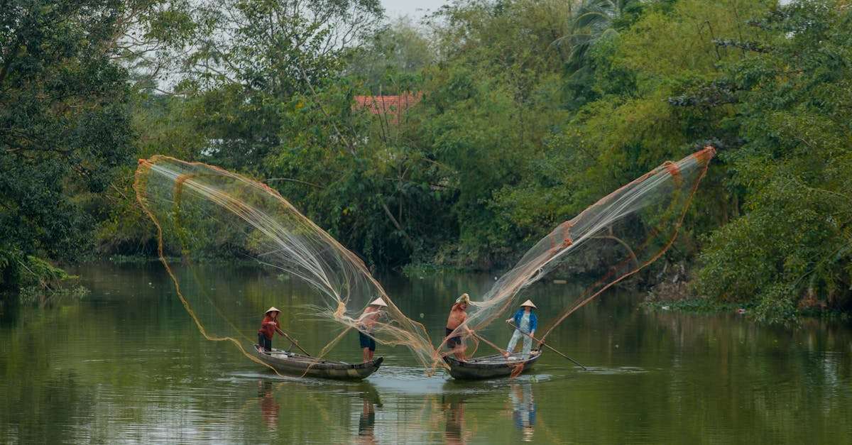 découvrez l'excitation de la pêche en rivière : conseils, techniques et meilleures pratiques pour attraper vos poissons. plongez dans une aventure au cœur de la nature!