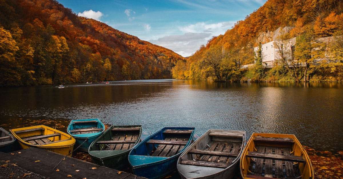 découvrez les meilleures techniques de pêche en rivière pour attraper vos poissons préférés. conseils, astuces et équipements essentiels pour profiter pleinement de vos journées au bord de l'eau.