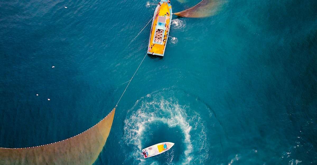 découvrez les pratiques de la pêche durable qui préservent les écosystèmes marins tout en assurant la pérennité des ressources halieutiques pour les générations futures.