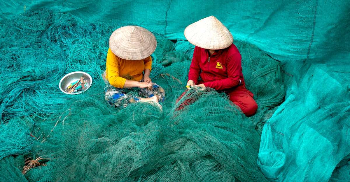 découvrez les pratiques de pêche durable qui préservent nos océans tout en garantissant une ressource viable pour les générations futures. apprenez comment des méthodes responsables et respectueuses de l'environnement peuvent contribuer à la protection de la biodiversité marine.