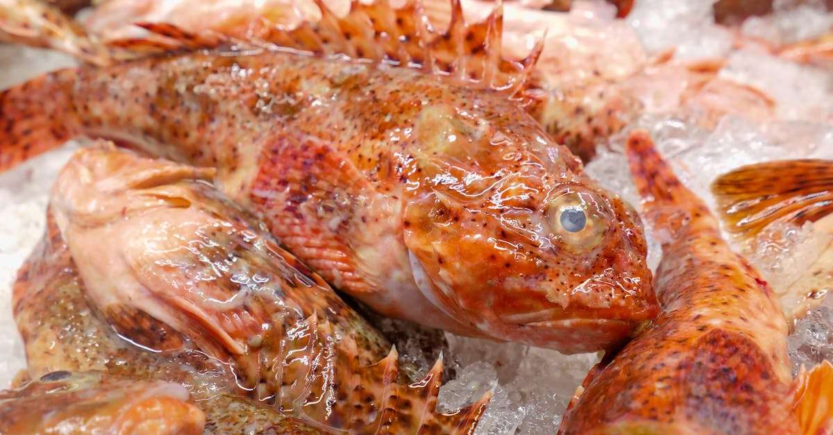 découvrez les pratiques de la pêche durable, qui préservent les écosystèmes marins tout en garantissant des ressources pour les générations futures. apprenez comment adopter des méthodes respectueuses de l'environnement et soutenir une industrie de la pêche responsable.