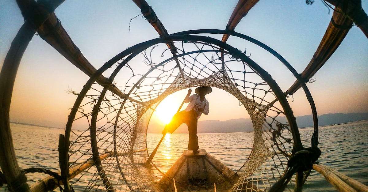 découvrez l'importance de la pêche durable pour préserver nos écosystèmes marins. apprenez des pratiques respectueuses de l'environnement qui assurent la pérennité des ressources halieutiques et soutiennent les communautés de pêcheurs.