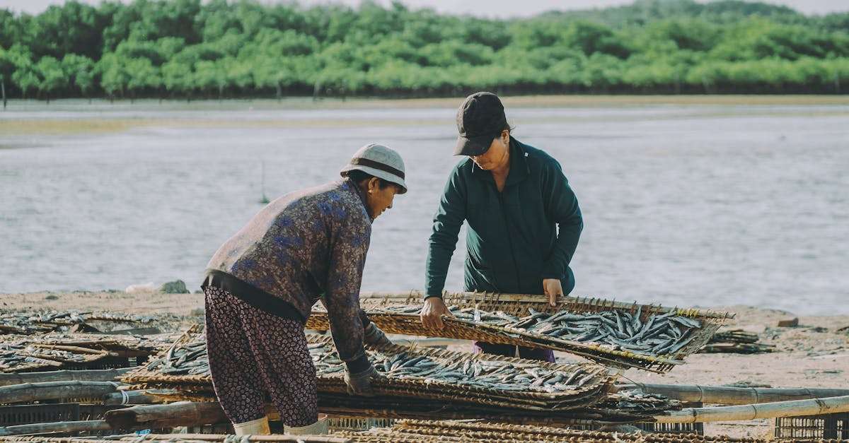 découvrez l'art de la pêche traditionnelle, une pratique ancestrale qui allie respect de la nature et savoir-faire unique. explorez les différentes techniques de pêche, les espèces locales et les traditions culturelles qui font la richesse de ce métier. plongez dans l'univers authentique de la pêche pour une expérience inoubliable.
