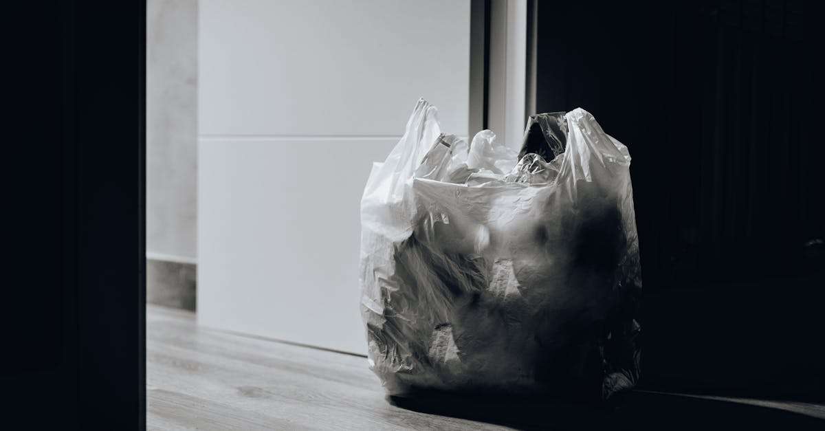 découvrez des solutions efficaces pour la gestion des déchets, alliant durabilité et innovations écologiques. améliorez votre impact environnemental grâce à des stratégies adaptées et responsables.